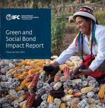 /sites/default/files/styles/media_library/public/2024-03/IFC%20green%20bond%20report%20.jpg?itok=R5hYrcDS