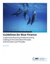 /sites/greenbanks/files/styles/media_library/public/2022-07/IFC-guidelines-for-blue-finance.jpg?itok=j9MVAK0H