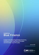 /sites/greenbanks/files/styles/media_library/public/2022-11/IFC-Guidelines-for-Blue-Finance.jpg?itok=tBdV_jth