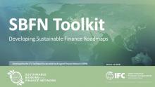 /sites/greenbanks/files/styles/media_library/public/2023-05/SBFN_Sustainable_Finance_Roadmap-Toolkit_Guide%20%281%29.jpg?itok=BkuopzP3
